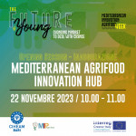 CREATIVE@HUBS: INAUGURATION OF THE MEDITERRANEAN AGRIFOOD INNOVATION HUB, PITCH COMPETITION E B2B